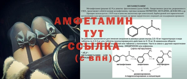 крисы Белокуриха
