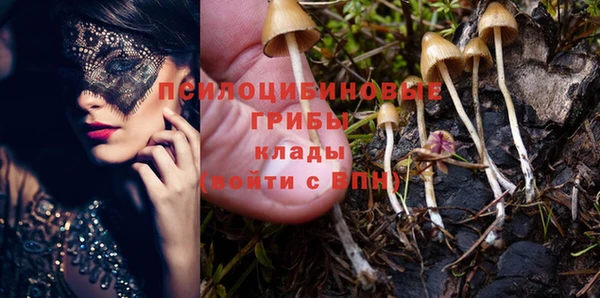 гидра Беломорск