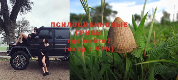 дурь Белоозёрский