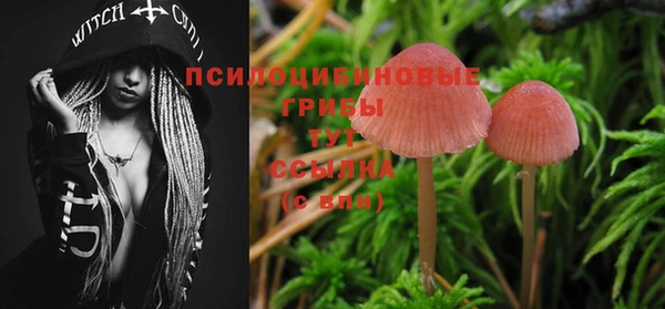 крисы Белокуриха