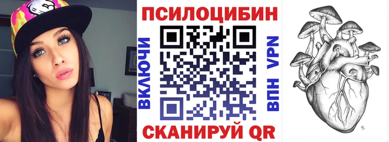 Галлюциногенные грибы Psilocybe  Югорск 